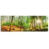 Schilderij Lentebos 1 52x156 Cm Groen -Lifestyle-Productwinkel 1000006615