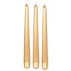 Enlightening Candles Dinerkaarsen - 12 Stuks - Goudkleurig - 25 Cm -Lifestyle-Productwinkel 1000010675