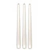 Enlightening Candles Dinerkaarsen - 12 Stuks - Zilverkleurig - 25 Cm -Lifestyle-Productwinkel 1000010689