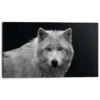 Schilderij Witte Wolf 70x118 Cm Zwart-Wit -Lifestyle-Productwinkel 1000033779