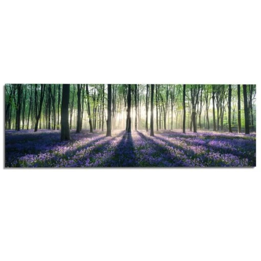 Schilderij Voorjaar In Het Bos 52x156 Cm Paars -Lifestyle-Productwinkel 1000033801