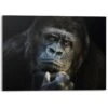 Alu-Dibond Gorilla 100x140 Cm Zwart -Lifestyle-Productwinkel 1000047084