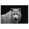 Glasschilderij Witte Wolf 78x116 Cm Zwart-Wit -Lifestyle-Productwinkel 1000082395