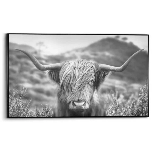 Art Frame Schotse Hooglander 70x118 Cm Zwart-Wit -Lifestyle-Productwinkel 1000085524