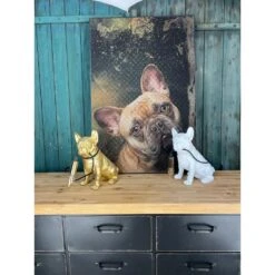 SarinArt Schilderij Bulldog - Aluminium -Lifestyle-Productwinkel 1000094336 0102