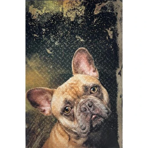 SarinArt Schilderij Bulldog - Aluminium -Lifestyle-Productwinkel 1000094336