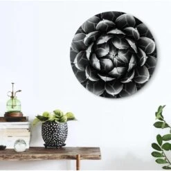 Glasschilderij Succuelent Agave Ø 50 Cm Zwart -Lifestyle-Productwinkel 1000097280 0101