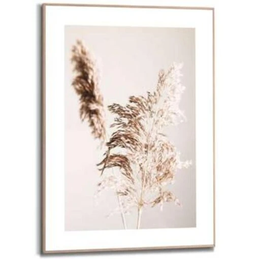 Schilderij Pampasgras 70x50 Cm Beige -Lifestyle-Productwinkel 1109483804